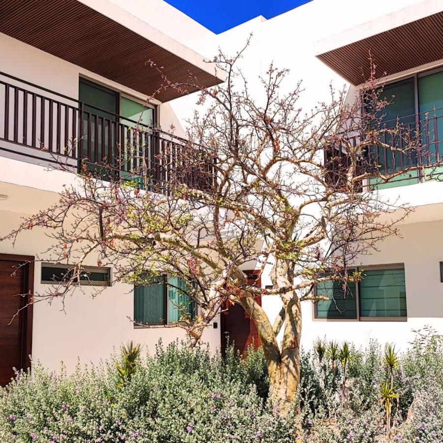 Costa Azul Sunnyadventuretravel Appartement La Paz Buitenkant foto